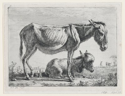 Jenny a csikójával, 1797. alkotó: Jean Jacques de Boissieu