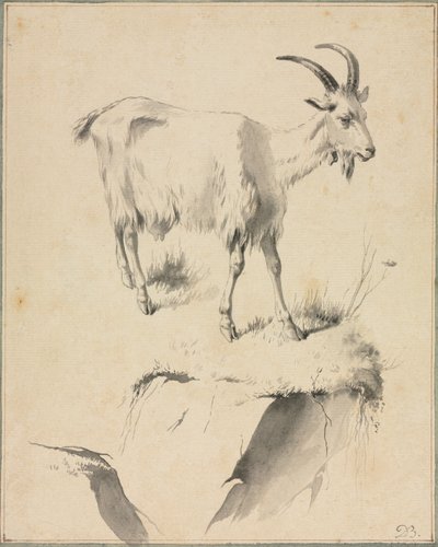 Tanulmány egy kecskéről, 1700-as évek. alkotó: Jean Jacques de Boissieu