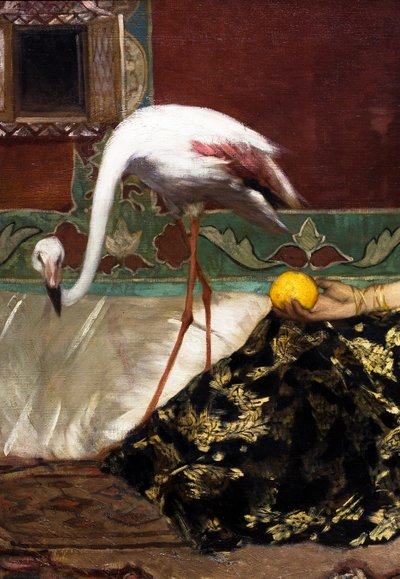 A rózsaszín flamingó (részlet) alkotó: Jean Joseph Benjamin Constant