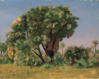 Pálmafák tanulmányozása alkotó: Jean Leon Gerome