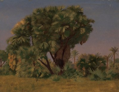 Pálmafák tanulmánya, valószínűleg 1868. alkotó: Jean Leon Gerome
