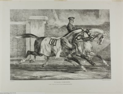 Horses Exercising, 6. lemez, különböző témákból, életből és kőből rajzolva (The English Suite) alkotó: Jean Louis André Théodore Géricault