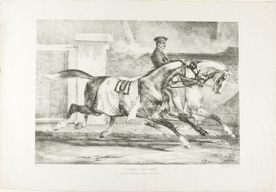 Gyakorló lovak, 6. tábla a Különböző témákból, életből rajzolva, kőre vetítve alkotó: Jean Louis André Théodore Géricault