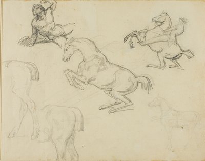 Vázlatok: Lovas és különböző lovak alkotó: Jean Louis André Théodore Géricault