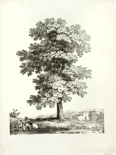 Egy fa tanulmányozása alkotó: Jean Victor Bertin