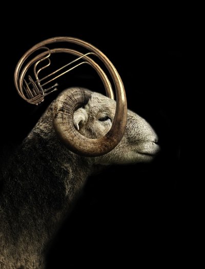 Musical Ram profilja alkotó: Jeffrey Hummel