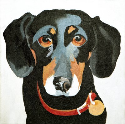 Buster, 2012 (akril, vászon) alkotó: Jennifer Abbott