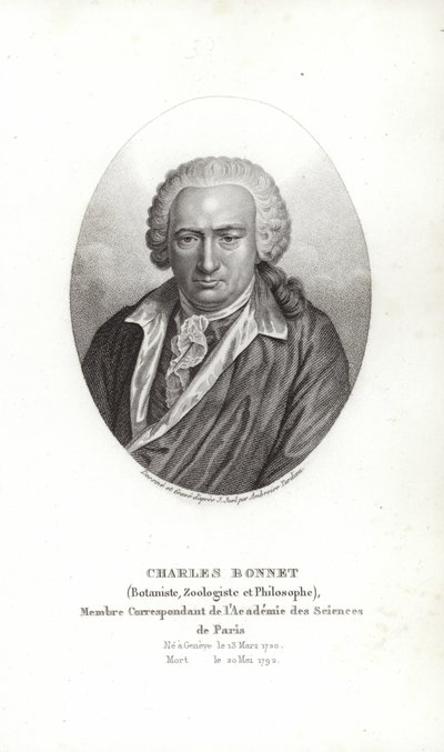 Charles Bonnet alkotó: Jens Juel