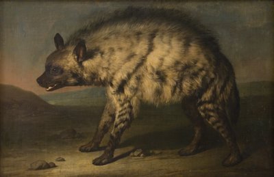 A hiéna a frederiksbergi kastély menazsériájában alkotó: Jens Juel