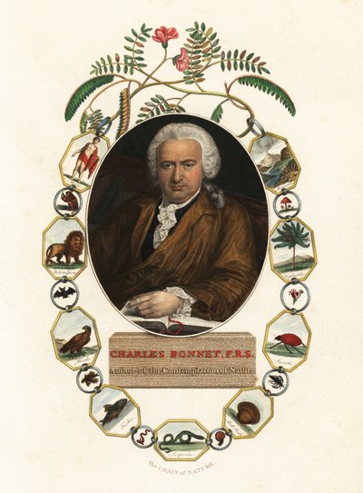 Charles Bonnet genfi természettudós portréja.1803 (metszet) alkotó: Jens Juel