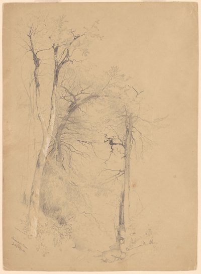 Kaaterskill szegfűszeg alkotó: Jervis McEntee