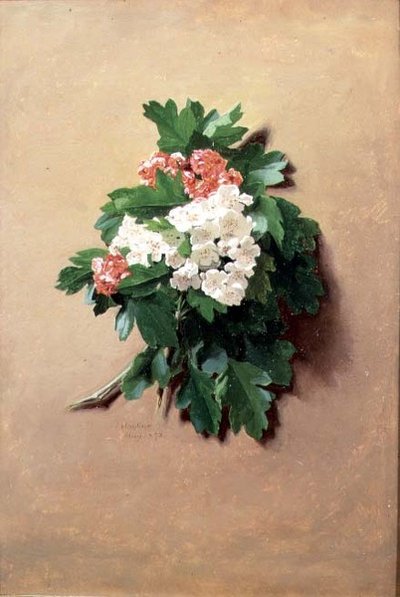 május (a tizenkettős sorozatból) alkotó: Jessica Hayllar
