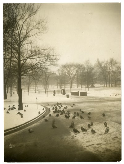Nem mindennapi hideg a Commonben, Boston, USA, 1902-1910 körül (zselatin ezüst fotó) alkotó: Jessie Tarbox Beals