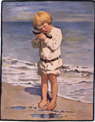 A Billy fiúk felfedezése egy sirály volt, sérült szárnyú (színes litho) alkotó: Jessie Willcox Smith
