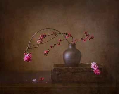 alkotó: Joanna W