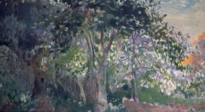A szürke fa, Sa Calobra, Mallorca alkotó: Joaquim Mir i Trinxet