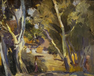 Miravet alkotó: Joaquim Mir i Trinxet