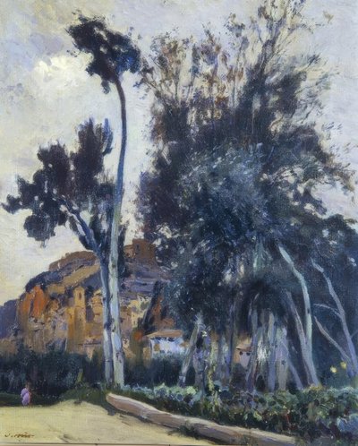 Miravet alkotó: Joaquim Mir i Trinxet