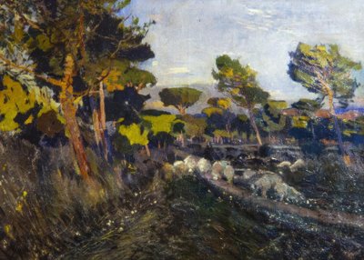 Névtelen alkotó: Joaquim Mir i Trinxet