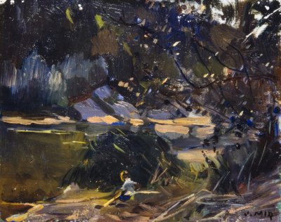 Aljnövényzet alkotó: Joaquim Mir i Trinxet