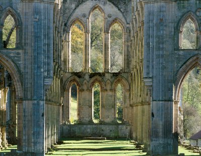 Rievaulx apátság, 1990-2010 alkotó: Joe Cornish