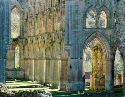 Rievaulx apátság, 1990-2010 alkotó: Joe Cornish