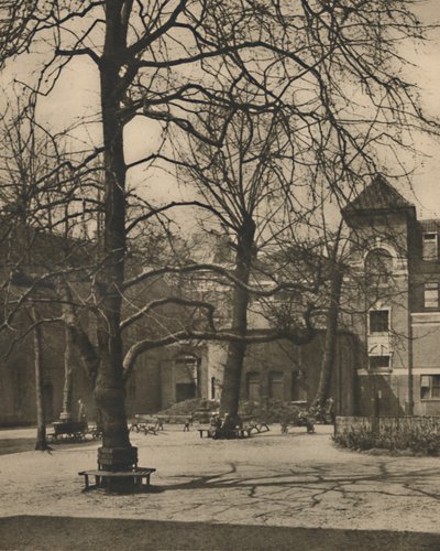 Under the Elms in the Courtyard of Middlesex Hospital, 1935. alkotó: Joel