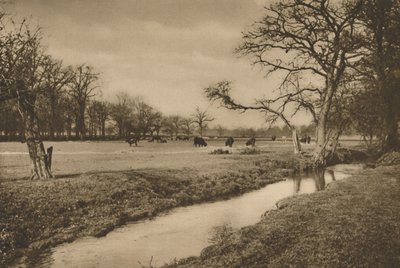 Ahol Beverley Brook átszel a richmondi királyi vadászparkon, 1935. alkotó: Joel