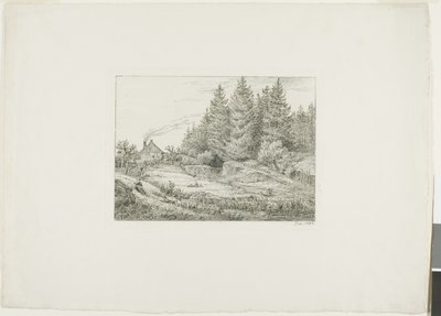 Parasztház egy örökzöld erdőben alkotó: Johan Christian Dahl