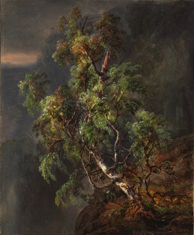 Nyírfa a viharban alkotó: Johan Christian Dahl