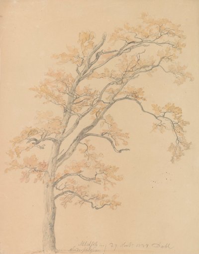  alkotó: Johan Christian Dahl