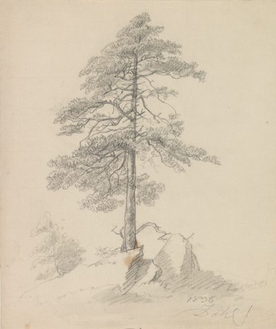  alkotó: Johan Christian Dahl