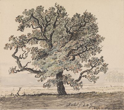 Fenyőfa a síkságon alkotó: Johan Christian Dahl