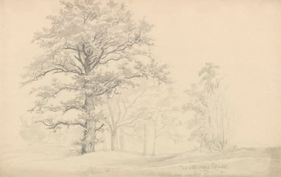 Lombhullató fák alkotó: Johan Christian Dahl