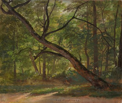 Telek a Nagy Kertben Drezda közelében alkotó: Johan Christian Dahl