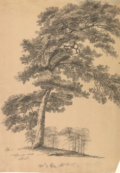 Fenyő alkotó: Johan Christian Dahl