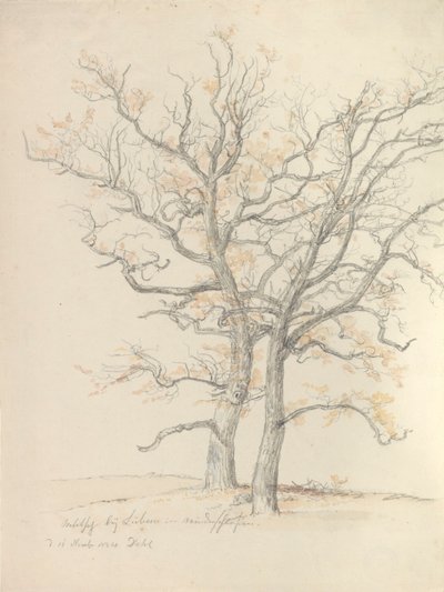  alkotó: Johan Christian Dahl