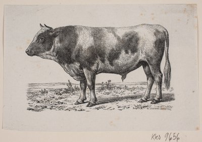 Egy bika alkotó: Johan Frederik Rosenstand