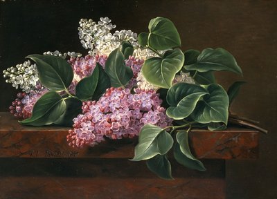 Lila a párkányon, alkotó: Johan Laurents Jensen