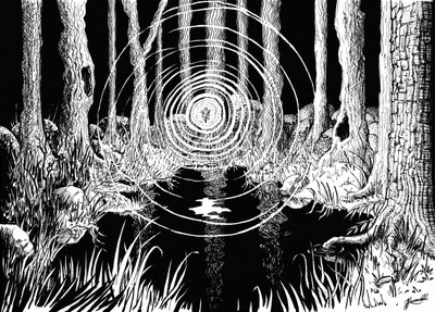 A misztikus erdő hullámai alkotó: Johan Liewendahl