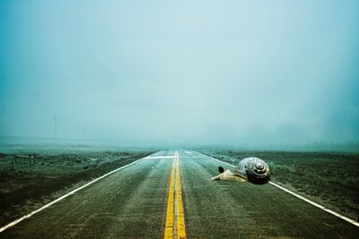 2020 way back, 2020 (digitális fotóművészet) alkotó: Johan Lilja