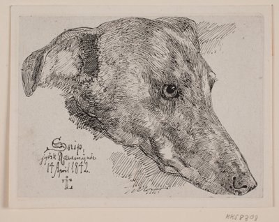 Dán: Hundehoved, Snip alkotó: Johan Lundbye