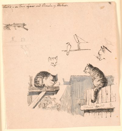 A két macska. F.o. macskafej-, madár-, macskafül- és gerendamunkák tanulmányozása. Illusztráció Kaalund "Fables for Children" című művéhez. Lásd a lapkatalógus megjegyzését. alkotó: Johan Thomas Lundbye
