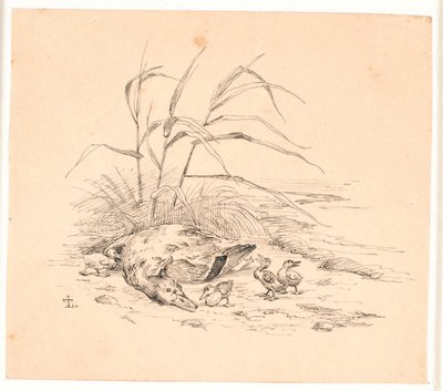 Az elejtett vadkacsa. Illusztráció Kaalund "Fables for Children" című művéhez. Lásd a lapkatalógus megjegyzését. alkotó: Johan Thomas Lundbye