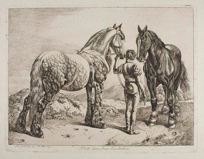  alkotó: Johann Adam Klein