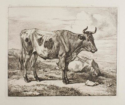 Szarvasmarhák a mezőn alkotó: Johann Adam Klein