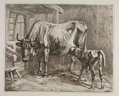 Tehén szopó borjúval alkotó: Johann Adam Klein