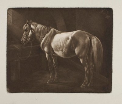 Ló a jászolnál alkotó: Johann Adam Klein