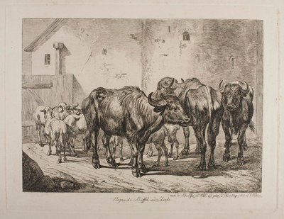 Magyar bivalyok és juhok alkotó: Johann Adam Klein