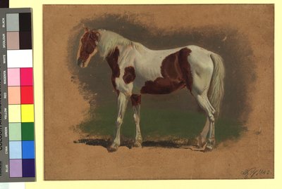 Pferdestudie alkotó: Johann Adam Klein